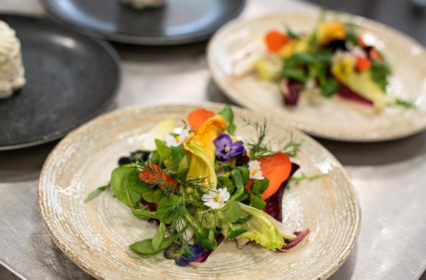 Hotel Waldhof **** - Mss Renderimg (6)